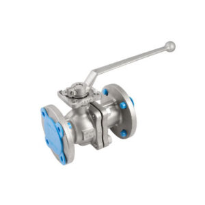 CFF SS-13DM Valve