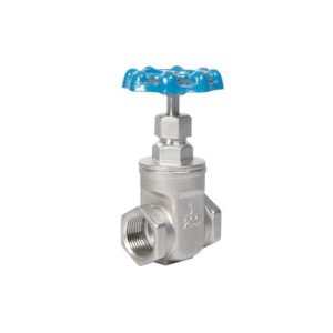 CFF SS-6 316 Gate Valve
