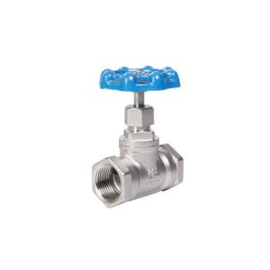 CFF SS-7 316 Globe Valve